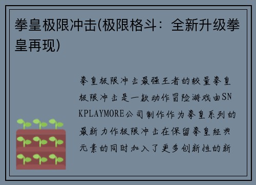 拳皇极限冲击(极限格斗：全新升级拳皇再现)